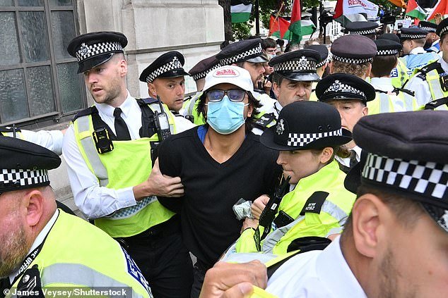 Protesters were seen being dragged away through the crowds as the demo turned hostile
