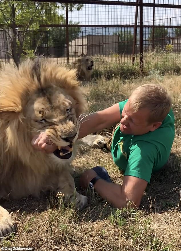 The tamer is famous for walking fearlessly among lions with people travelling from around the globe to witness him