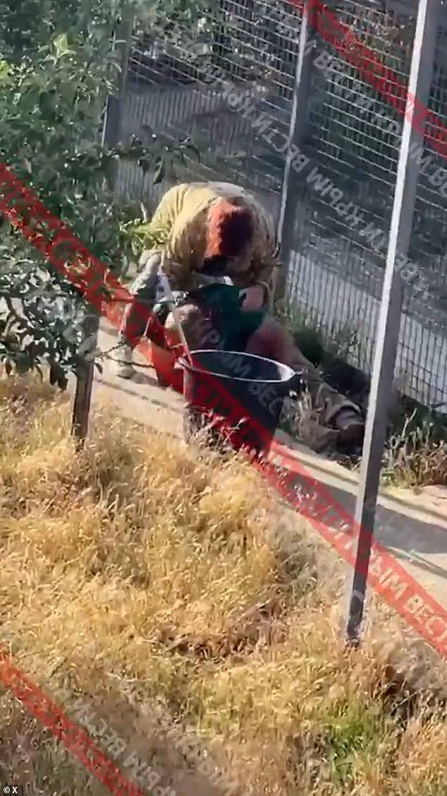 Oleg Zubkov, 57, have to be rescued by a female colleague who threw a bucket at the lion to release the tamer from its jaws