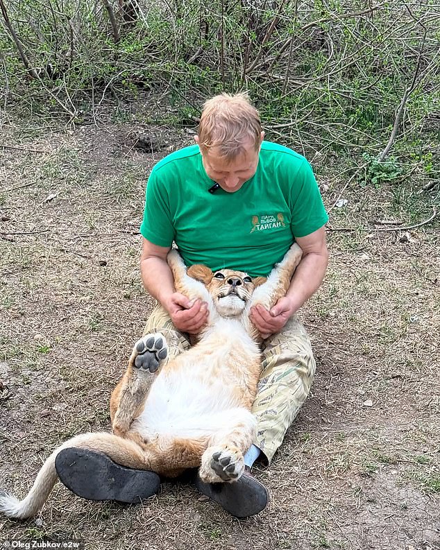 A park source said today that a 'complex operation has been performed - the doctors are doing everything possible and impossible' to save him