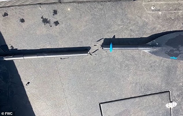 The damaged paddle is pictured after the alligator attacked