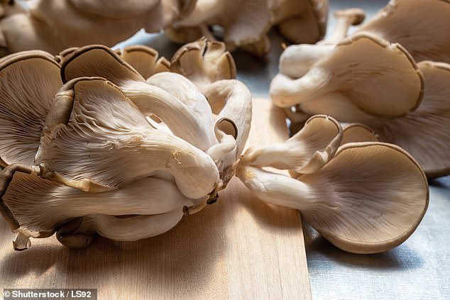 Mushrooms like oyster and champignon varieties are gaining scientific attention for their potential to fight internal causes of aging-related odor