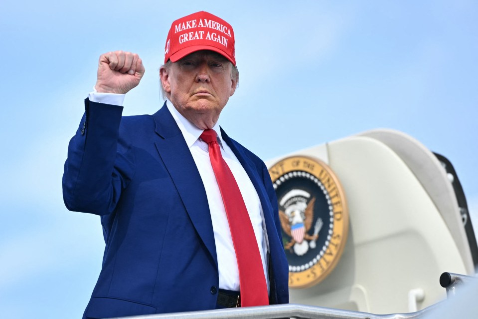 Donald Trump raising his fist while wearing a "Make America Great Again" hat.