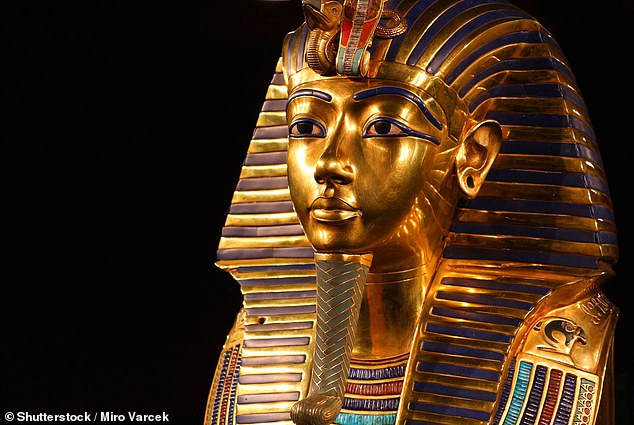 Aspergillus flavus has been nicknamed the 'pharaohs' curse' after researchers studying the tombs of ancient kings over the past several decades have suddenly been struck by deadly respiratory issues