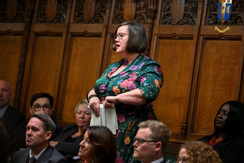 MP Meg Hillier speaking at Prime Minister's Questions in the House of Commons.