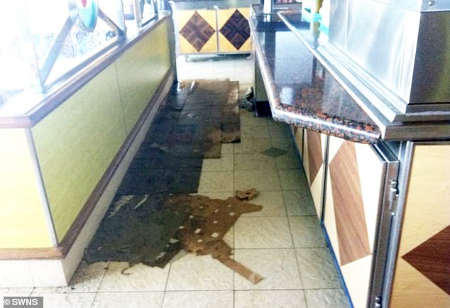 Human fecal matter was discharged all over the ship according to horrified passengers after the onboard sewage system stopped working due to an engine room fire