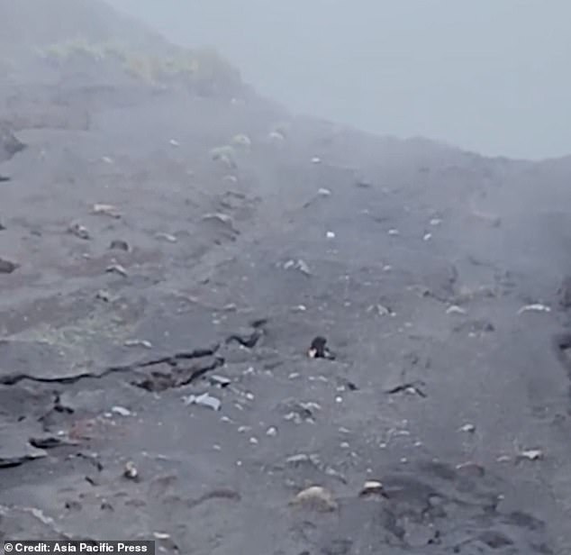 Shocking drone footage showed Ms Marins cowering on a slope as she waits to be rescued