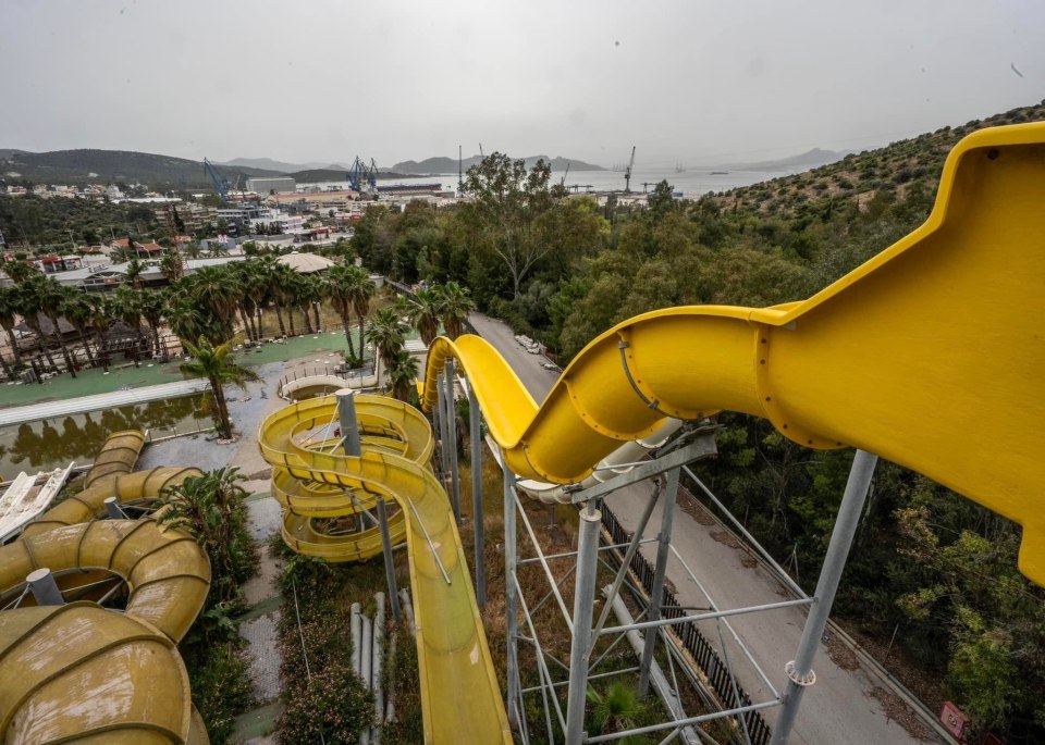 Overgrown abandoned water park with yellow slides.