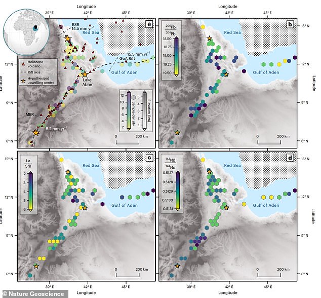 The split has already started at the northeast of Africa off the coast of Ethiopia, where the Red Sea flows into the Gulf of Aden. This image shows the hypothesized hot upwelling of mantle over the next few millions of years