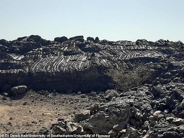 The Afar region is a rare place on Earth where three tectonic rifts meet - the Main Ethiopian Rift, the Red Sea Rift, and the Gulf of Aden Rift - together known as a triple junction. Pictured, fresh basaltic lava flows in the region of Afar, Ethiopia