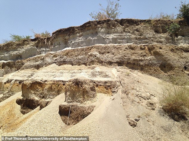 This region is characterized by high volcanic activity. Pictured, a succession of volcanic deposits at Boset Volcano in the Main Ethiopian Rift