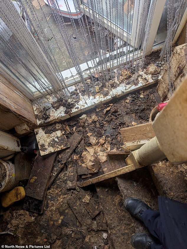 The inspection took place after concerns were raised for the welfare of ten cats who were believed to be living at the home in Chester-le-Street, County Durham