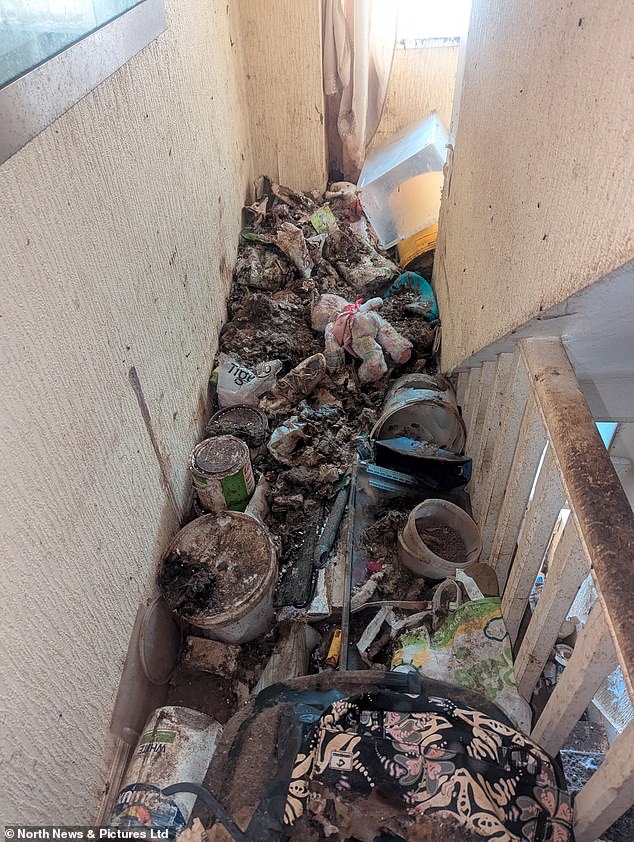 On June 11, the couple pleaded guilty at Peterlee Magistrates' Court, County Durham, to one Animal Welfare Act offence