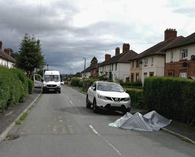 The sheer brutality of the violence meted out to Aurman is laid bare here as you can see the abandoned DPD van he was driving a few hundred feet from where his body was discovered