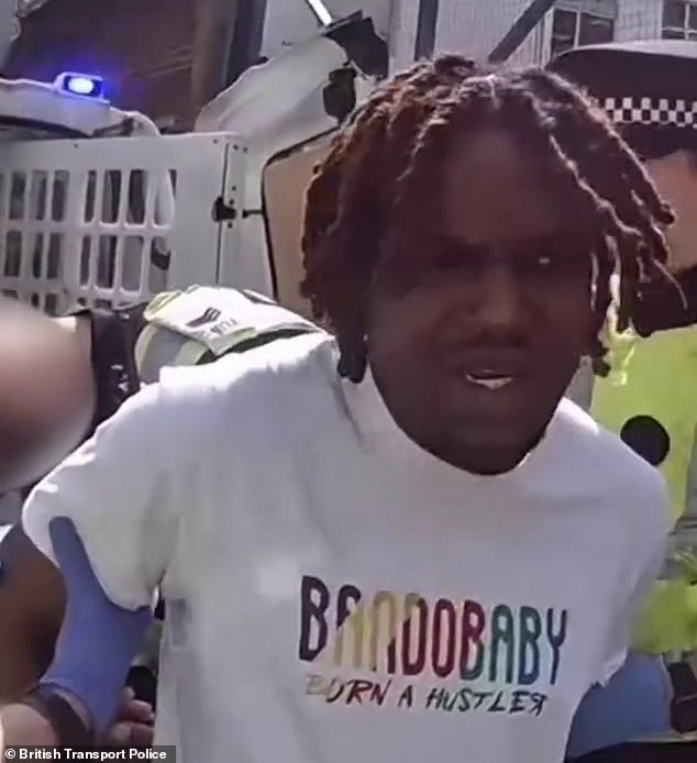 He appears to make no attempt to resist arrest as he is restrained and led into the back of a police van