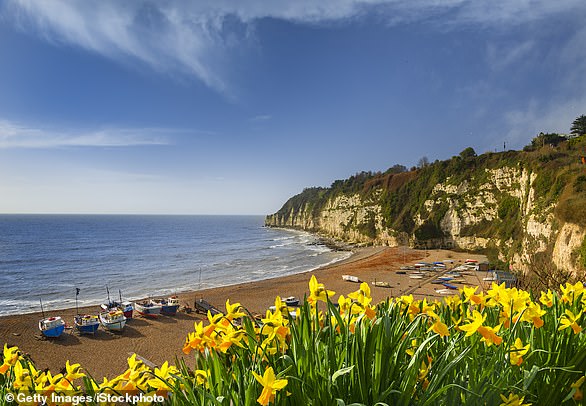 A beer in Beer: Devon's crescent of shingly beach has a limestone cliff backdrop