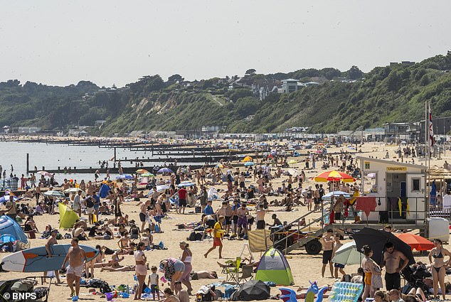 The mayor insisted that neither the fines nor the new permits would put the thousands of tourists, pictured on Bournemouth beach, off parking the car in disruptive places