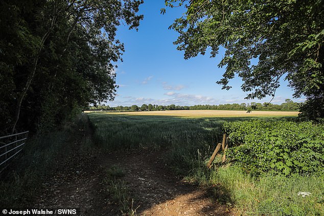 A view of the proposed land that hundreds of new homes could be built on in Chipping Norton