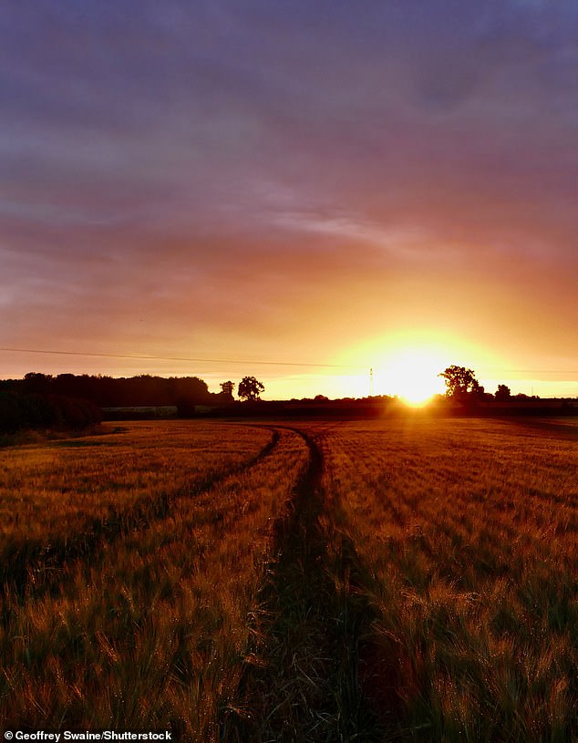 Sunrise over the Oxfordshire countryside in Dunsden this morning