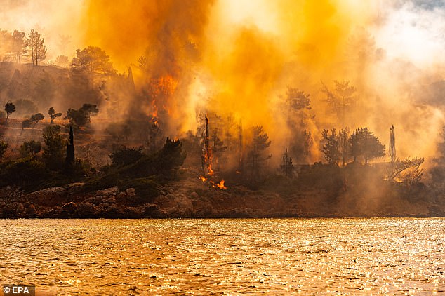 GREECE: Hundreds of firefighters in Greece also battled a wildfire which burned out of control on the eastern Aegean island of Chios
