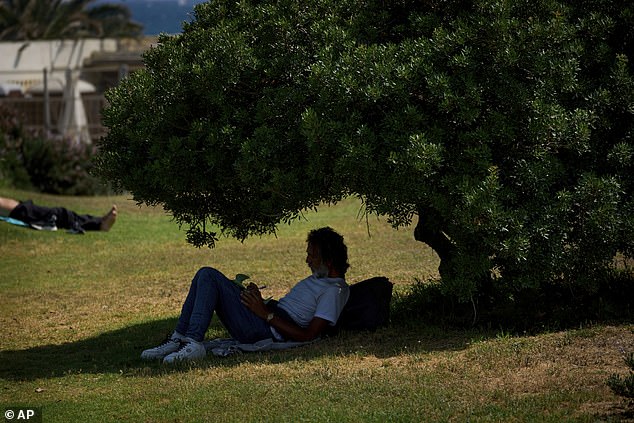 SPAIN: A man writes in the shade of a tree during high temperatures in Barcelona