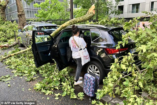FRANCE: A woman checks on a car damaged by a fallen tree