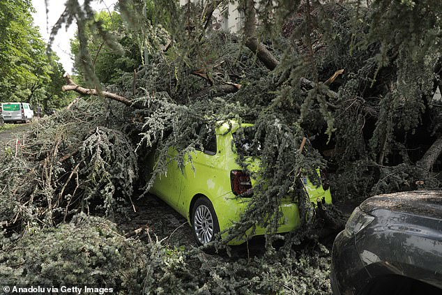 FRANCE: Heavy rain and strong winds cause trees to fall and damaged several cars in various parts of Paris