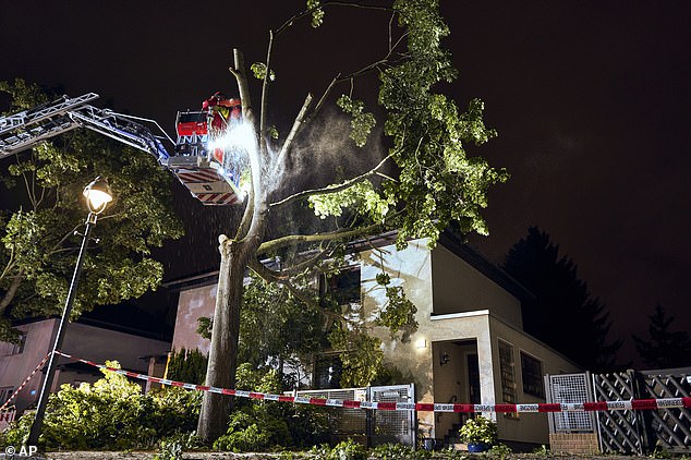 GERMANY: Firefighters work on a tree that partially fell onto a house after a storm in Berlin