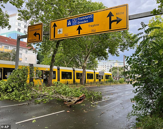 GERMANY: Branches lie on the street after a storm in the Prenzlauer Berg district, in Berlin