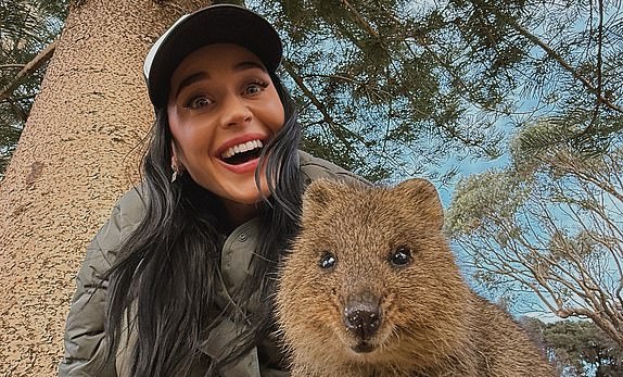 Katy Perry posts from Western Australia as Orlando Bloom spotted leaving Bezos wedding party with mystery womanhttps://www.instagram.com/p/DLZmRitgVeU/?img_index=1