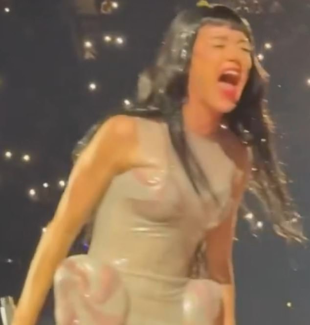 At one point she took the microphone away from her face and emotionally screamed out the lyric: 'I let him rule my world!'