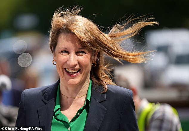 Experts warned the £4.25billion black hole in the public finances caused by the backsliding will probably force Chancellor Rachel Reeves to plug it with more tax rises in her autumn Budget (file image)