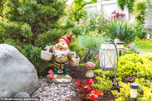 There are believed to be around six million garden gnomes across the UK, up from five million in 2020 (Stock Photo)