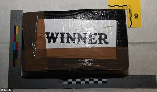 Following a search of the warehouse, as well as one in Newcastle, officers found a kilogram of cocaine alongside rolls of fake grass