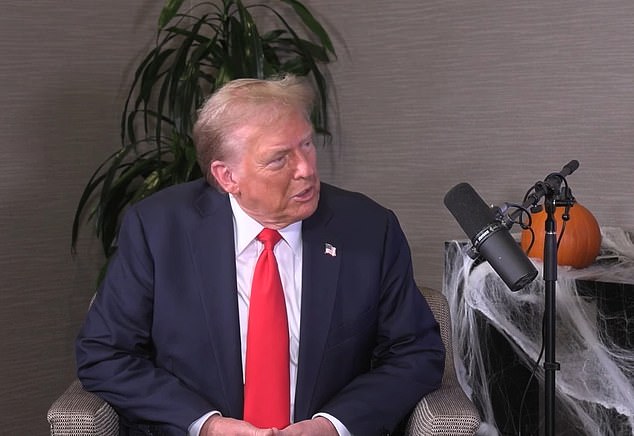 Donald Trump gave an interview on 'Bussin With The Boys' ahead of last year's election
