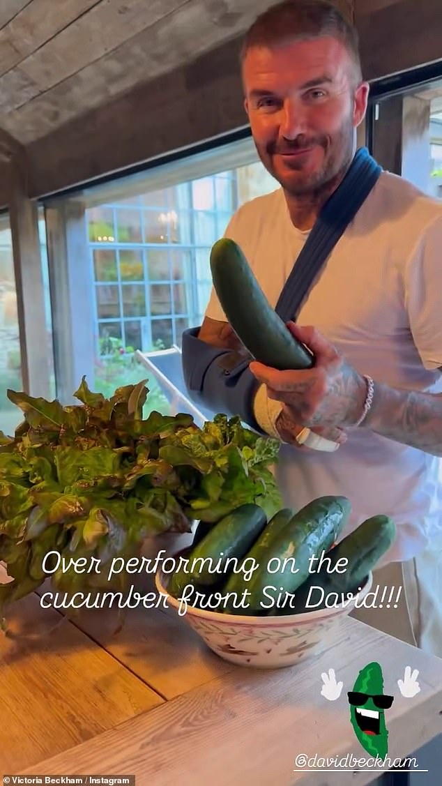 As she went to question if they were all from their garden, David jumped in, cheekily quipping: 'I'm not sure you could say that darling!'