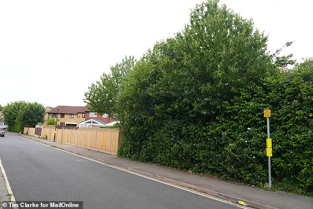 One resident, who has lived in Ramsey Court for 22 years, told MailOnline he agreed to purchase the land with his neighbours because he believed 'it was a good thing' for the area