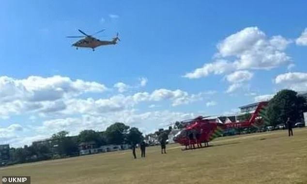 Police declared a 'serious incident' in Chalkwell Park, Westcliff-on-Sea, in Southend, Essex, after the tree collapsed on this afternoon