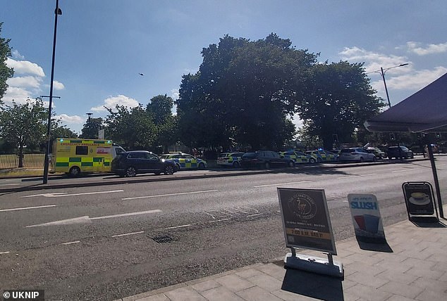 The piano showroom owner, whose business is just by the park in the resort town's Westcliff-on-Sea area, said: 'It's a tragedy'
