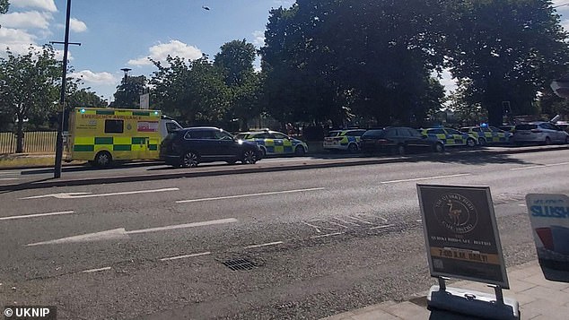 An East of England Ambulance spokesperson previously told MailOnline: 'We were called at 2.55pm to reports that a tree had fallen in Chalkwell Park in Westcliff-on-Sea'
