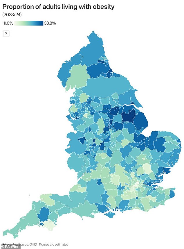 This map highlights the areas most blighted by obesity in the years 2023 to 2024