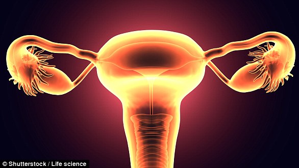 Rokitansky Syndrome, or MRKH (Mayer Rokitansky Küster Hauser), is a congenital abnormality characterised by the absence of the vagina, womb and cervix