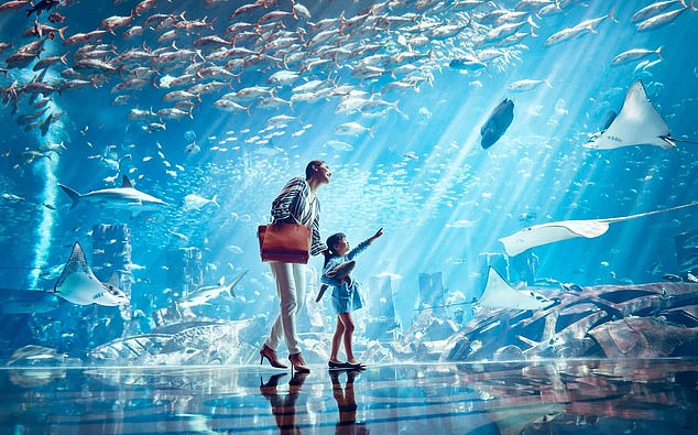 The Lost Chambers Aquarium features massive tanks, ancient ruins vibes, and over 65,000 marine animals swimming past you - including rays, sharks, and jellyfish