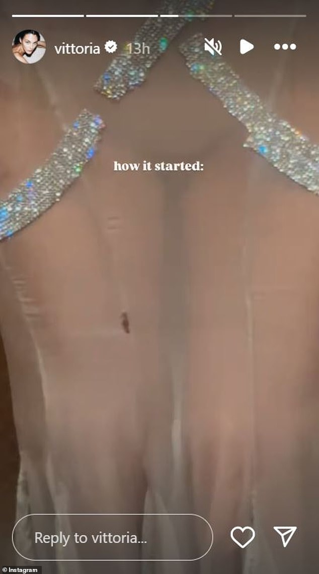 To start off with the dress only had a small hole which was barely visible
