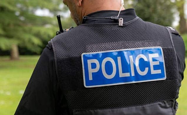 Emergency services arrived on the scene shortly after the incident at around 4.45pm and arrested a man in his 50s when they got there (Stock Photo)