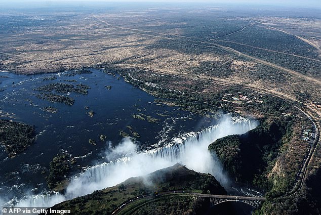 Hippos can grow up to 16.5 feet long and 5.2 feet tall, and weigh up to 4.5 tons. Pictured: Victoria Falls on the Zambezi River at the border between Zambia and Zimbabwe