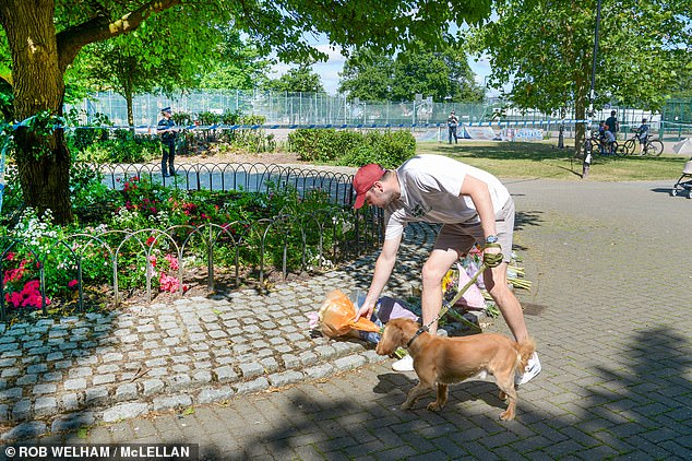 But others on social media took the poles to mean the tree was in a dangerous condition. Pictured: A member of the public lays flowers in the park today