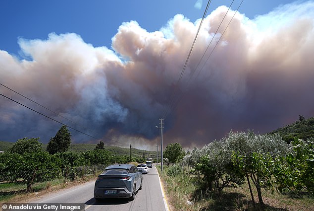 Hundreds of locals were evacuated from their homes as the inferno tore through residential buildings