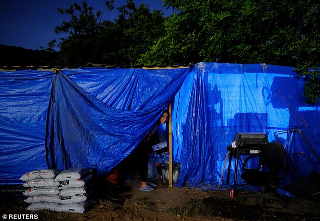 Pictured: A woman looks on inside her shack at the makeshift settlement Can Rova 2