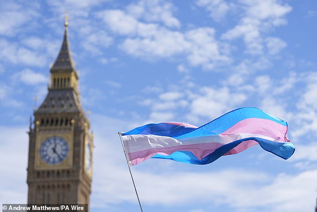 GB News are said to have posed the point that the ruling had made it a 'settled matter that a trans woman is not a biological female, and a trans man is not a biological male'